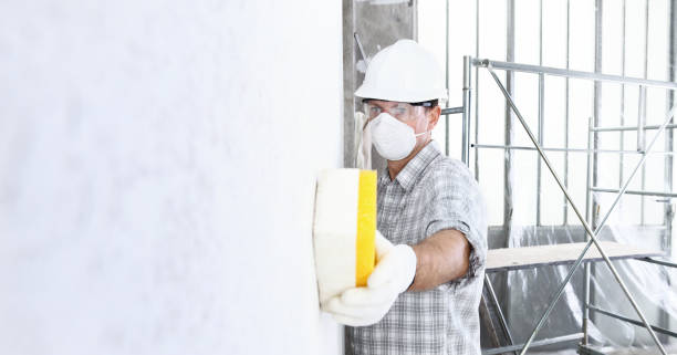 Best Post-Construction Mold Inspection  in Reed Creek, GA