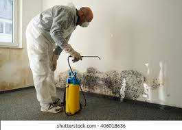 Mold Remediation for Vacation Homes